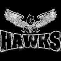 GLT32 SILVER GLITTER Thumbnail